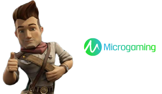 microgaming-slot